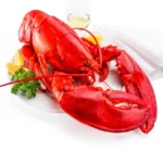 2-lb-live-maine-lobster-609024