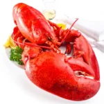 8-lb-10-lb-north-atlantic-live-lobster-646359